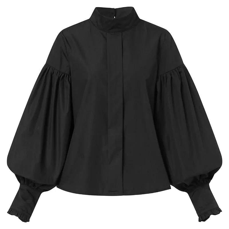 Lantern Sleeve Elegant Party Blouse