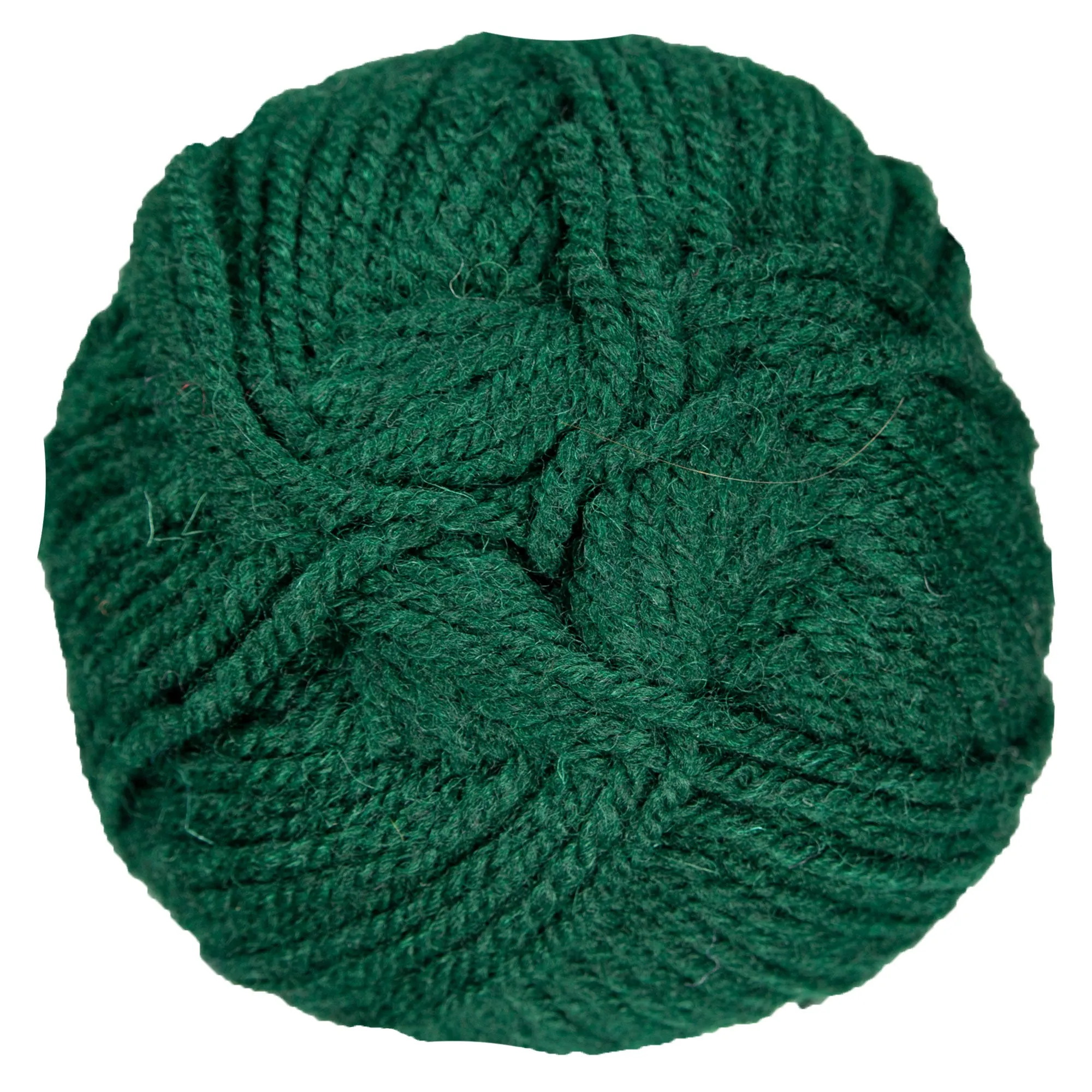 Plymouth Yarn Encore Worsted Yarn - 0204 Forest Green