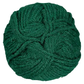 Plymouth Yarn Encore Worsted Yarn - 0204 Forest Green